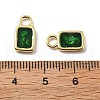 Epoxy Resin Charms KK-Z114-21G-4