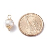 Natural Cultured Freshwater Pearl Beads Links Connectors PALLOY-JF01260-4