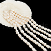 5 Strands Natural Cultured Freshwater Pearl Beads Strands PEAR-NB0002-58-7