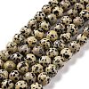 Natural Dalmatian Jasper Beads Strands G-Q462-10mm-30-2