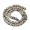 Natural Dalmatian Jasper Beads Strands G-B138-C08-01-2