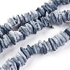 Natural Shell Beads Strands X-BSHE-I008-01-1