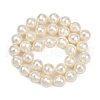 Faceted Round Shell Pearl Beads Strands BSHE-XCP0001-48A-3