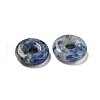 Natural Blue Spot Jasper Donut/Pi Disc Charms G-G142-01H-2