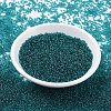 MIYUKI Round Rocailles Beads SEED-X0054-RR2405-1