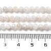 Natural Rainbow Moonstone Beads Strands X-G-G161-A01-03-5
