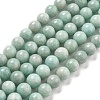 Natural Amazonite Beads Strands G-L618-A01-8mm-2