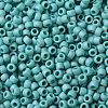 TOHO Round Seed Beads X-SEED-TR08-0413F-1
