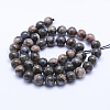 Natural Gemstone Beads Strands G-F531-8mm-P-2