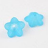 Transparent Acrylic Beads PL560-9-1