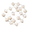 Natural White Shell Beads BSHE-Z008-09-1