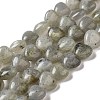 Natural Labradorite Beads Strands G-B022-16B-1