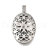 316 Stainless Steel Locket Pendants STAS-C123-01A-P-1