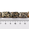 Natural Dalmatian Jasper Beads Strands G-T047-B16-01-5