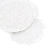 Glass Beads SEED-N007-27G-1