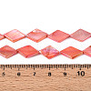 Dyed Natural Freshwater Shell Beads Strands SHEL-T020-13F-4