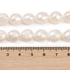 Natural Cultured Freshwater Pearl Beads Strands PEAR-P064-20M-02A-5