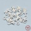 925 Sterling Silver Charms STER-T002-49S-4