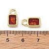 Epoxy Resin Charms KK-Z114-21G-03-3