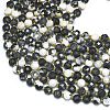 Natural Zebra Jasper Beads Strands G-K389-B56-01-3
