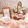 Chiffon Organza Pleated Lace Trim DIY-WH0892-01A-4
