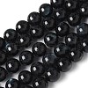 Natural Black Lip Shell Beads Strands SSHEL-C013-01D-1