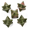 Natural Unakite Beads G-A206-01B-69-1