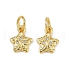 Brass Micro Pave Cubic Zirconia Pendants KK-D375-34G-01-1