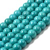 Natural Howlite Beads Strands G-B049-C01-07A-1