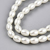Baking Painted Pearlized Glass Pearl Bead Strands HY-T002-01B-02-2