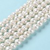 Natural Cultured Freshwater Pearl Beads Strands PEAR-E018-02-2