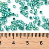 Glass Seed Beads SEED-S042-04B-29-4