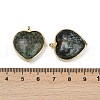 Natural African Turquoise(Jasper) Pendants G-K347-10G-04-3
