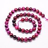 Natural Tiger Eye Beads Strands G-G544-12mm-02-2