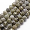 Natural Labradorite Bead Strands G-D840-64-12mm-1