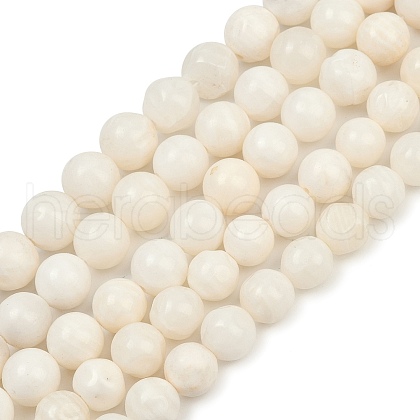 Natural White Shell Beads Strands BSHE-U002-01-1