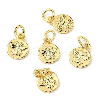 Brass Charms ZIRC-E164-57G-1