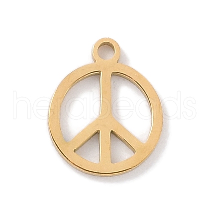 304 Stainless Steel Charms STAS-K286-01B-G-1