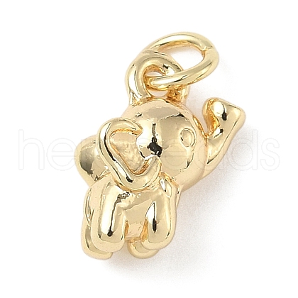 Brass Charms ZIRC-I356-04G-01-1