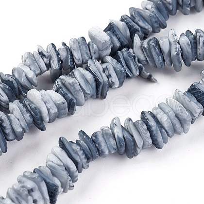 Natural Shell Beads Strands X-BSHE-I008-01-1