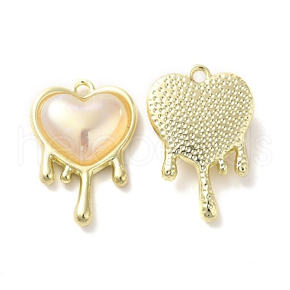 Alloy Pendant PALLOY-K001-078G-1