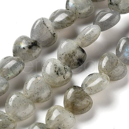 Natural Labradorite Beads Strands G-P528-C05-01-1