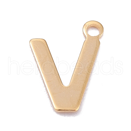 201 Stainless Steel Charms STAS-C021-06G-V-1