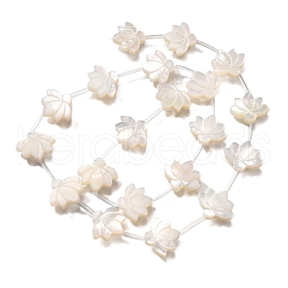Natural White Shell Beads BSHE-Z008-09-1