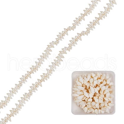 Natural Spiral Shell Beads Strands BSHE-SZ0001-01-1