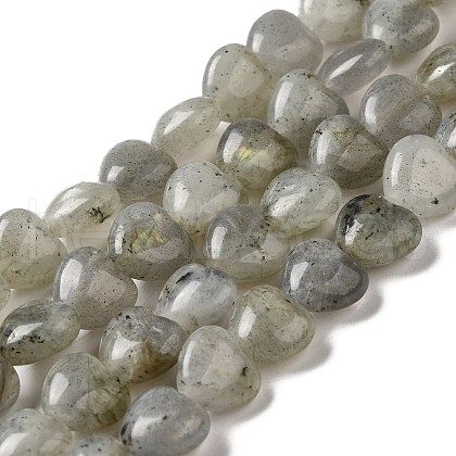 Natural Labradorite Beads Strands G-B022-16B-1