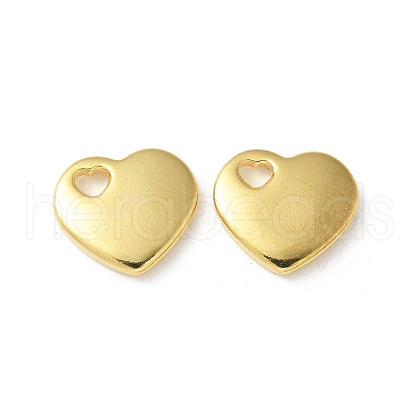 304 Stainless Steel Pendants STAS-I330-031G-1