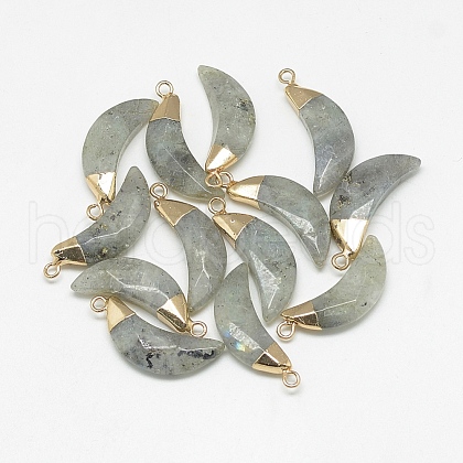 Natural Labradorite Pendants X-G-Q494-80D-1