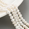 Natural Cultured Freshwater Pearl Beads Strands PEAR-C003-10C-1