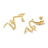 Snake Brass Ear Studs EJEW-P281-02G-2
